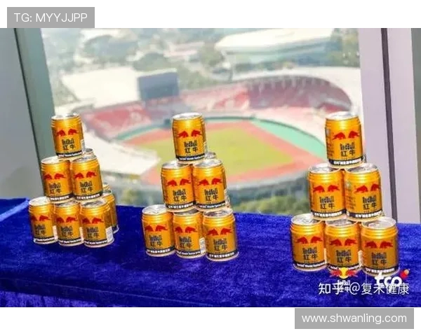 重庆极限运动队在攀岩联赛中的战术表现分析与点评