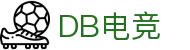 DB电竞(DBGame)官方网站-华语电竞行业引领者